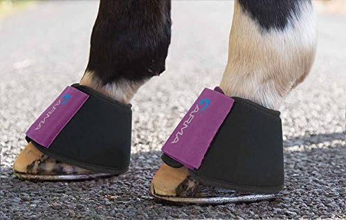 Shires Arma Neoprene Over Reach Boots Plum Full