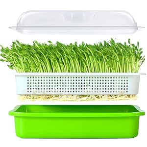 LeJoy Garden Seed Sprouter Tray BPA Free PP Soil-Free Big Capacity Healthy Wheatgrass Grower with Lid Sprouting Kit 13.4×9.84×4.72 inches