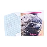 Hallmark Studio Ink Birthday Greeting Card for Her (Sloth Face, Slow That Awesome Down)