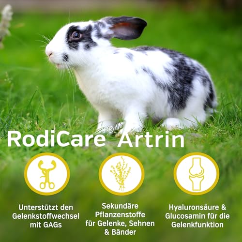 Alfavet RodiCare Artrin, Ergänzungsfuttermittel für Kaninchen, Meerschweinchen und Kleinnager mit Knorpelnährstoffen und Teufelskralle, Dosierspritze, 50 ml Glasflasche