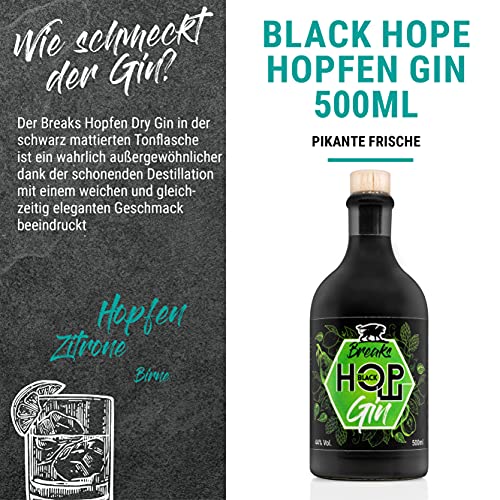 Breaks HOPFEN DRY Gin I Premium Gin mit Hopfen, Birnen & frischen Zitronen I Geschmack: Frisch mit Zitrus-Birnen Note I… – Bild 4