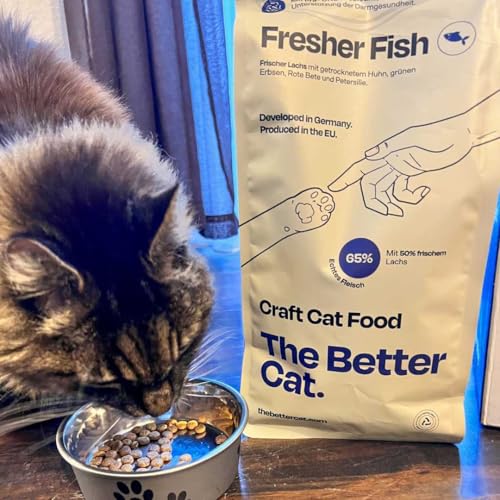 The Better Cat Super Premium Trockenfutter für Katzen | Getreidefreies Katzenfutter Trocken | Hoher Fleischanteil | Ohne Zucker | Mit Probiotika (1kg, Lachs)