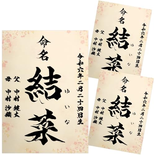  畿  ѕM Ƃ̑ccɂ AV[gt I[_[ ѕM x  j̎qp ̎qp A4 ~l[g N   ڏȗ (3)