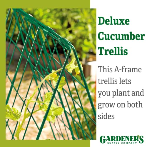 Gardeners Supply Company Deluxe Cucumber Trellis | Easy to Install Raised Garden Bed Cucumbers & Climbing Plants A-Frame Trellis | Outdoor Plant Support w/ 4" Grids for Easy Harvesting | 32" Wx46 H