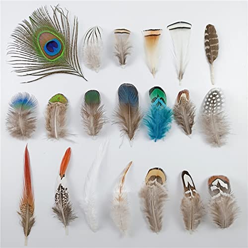 Queenbox 50Pcs Natural Peacock Feather, Pheasant Plumage For Diy Craft Costume Dream Catcher Wedding Festival, 30 #TOP4