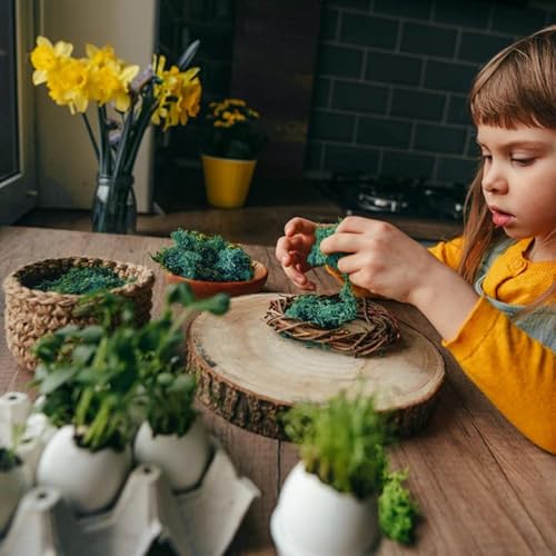 Nahuaa Craft Moss, Fake Moss Artificial Green Moss For Potted Plants, Spanish Moss For Centerpieces Decor, Artificial Green Moss For Plant Crafts Flower (Dark, Green, 3.5 Oz) #TOP3