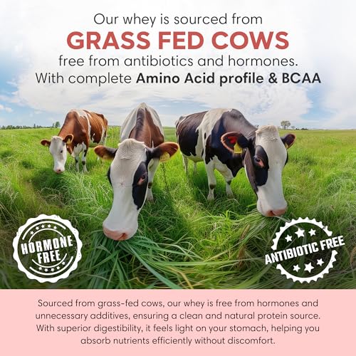 Image of Foodstrong Whey Protein Powder (Concentrate + Isolate), 100% Hormone Free Grass-Fed Whey, 24G Protein & 6.6G BCAA, Coffee, With Turmeric & Digestive Enzymes, 1KG (Pack of 2)