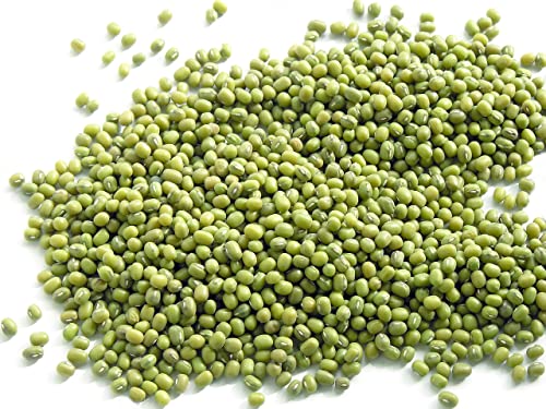 Todd’s Seeds - Mung Bean Sprouting Seed - Mung Bean Seeds - Chinese Green Bean - 1 Pound Bulk Seeds #TOP2