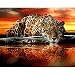 Produktbild Demiawaking 5D-Diamantmalerei, Komplettset, Tier-Gemälde, 5D DIY, Mosaikgemälde, Malerei, Bohrer, Komplettset, Deko, Geschenk, 40 x 30 cm