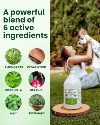 Image of Mosquito Magician Ready-to-Use Mosquito Yard Spray 2 Gal (Mint) - Kills Mosquitoes, Fleas & Fire Ants, Repels and Prevents Ticks - Essential Oil Formula for Sprayers, Foggers & Misting Systems