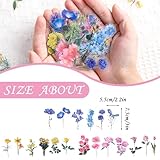 Zoom IMG-1 nogeqi adesivi floreali trasparenti per Zoom IMG-1 nogeqi adesivi floreali trasparenti per