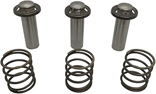Kit Pistão com Mola para Lavadora KARCHER LINHA NOVA KOPP 93033280 93033290