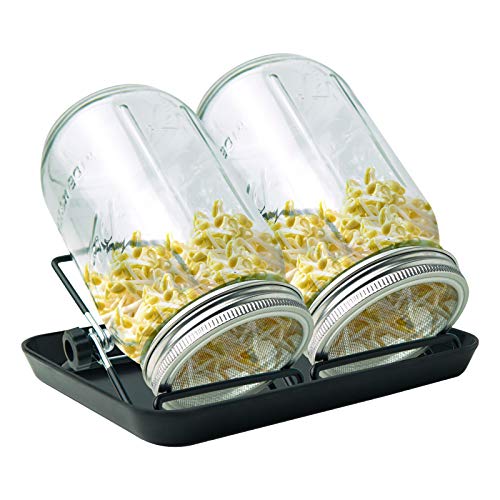 Sprouting Kit Stainless Steel 2 Pcs 32oz Wide Mouth Mesh Screen Strainer Sprouting Jar for Growing Wheatgrass Lentils Broccoli Mung Bean Sprout Alfalfa Almond Buckwheat Grain Sprouter Seeds