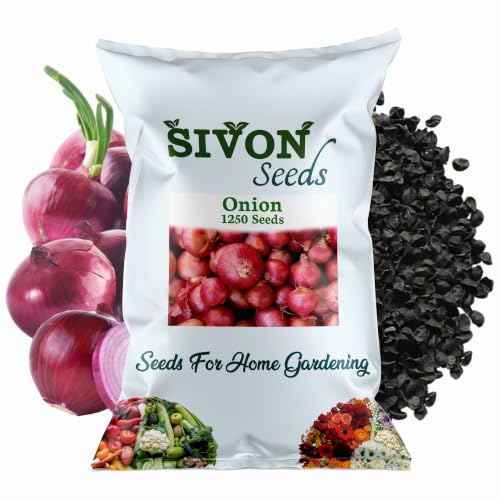 Image of SIVON Onion (Pyaz) (1250+ Seeds) Vegetable Seeds for Home Garden, Organic & Hybrid, Perfect for Home Gardening, Planting For Pots and Patio