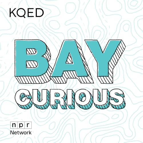 Overlogged and Thirsty: Bay Area Redwoods Are Struggling