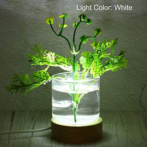 PATIKIL Wooden LED Light Base Stand, Round Wooden 2.36" Dia White Lights Display Pedestals for Crystal Glass Art Decorations Wood Color - Image 4