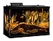 Tetra ColorFusion Aquarium 20 Gallon Fish Tank Kit, Includes LED Lighting and Decor