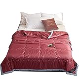YRRA Wasser Waschen Seide Daunendecke, Leicht Atmungsaktiv Sommer Steppdecke Hypoallergen Tröster, für Sofa Auto Büro,Rot,180X220cm