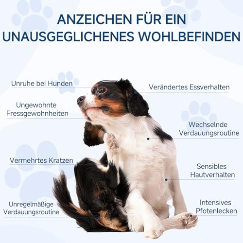 Woyamay Probiotika für Hunde – 200 Weiche Kausnacks Mit Hühnergeschmack, Zur Unterstützung der Verdauung und des Allgemeinen Wohlbefindens, Mit Ausgewogener Darmflora und Fellpflege für Alle Hunde