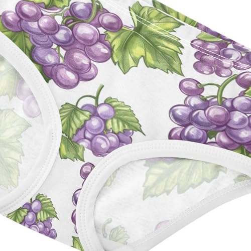 ZZKKO Purple Grape Bunches Girls Underwear Toddler Panties for Girls Comfort Brief Size 2-8T3