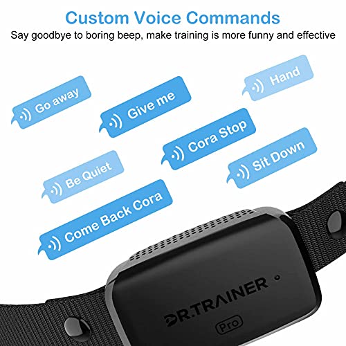 Dr.trainer No Shock Dog Bark Collar With App Setting, Rechargeable Barking Collar With Custom Sound & Vibration & Bark History, Waterproof Bark Collar For Small/Medium/Large Dogs (B1Pro) #TOP4