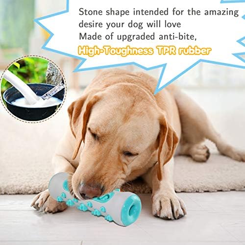 What Does It Mean When A Dog Chews On Sticks