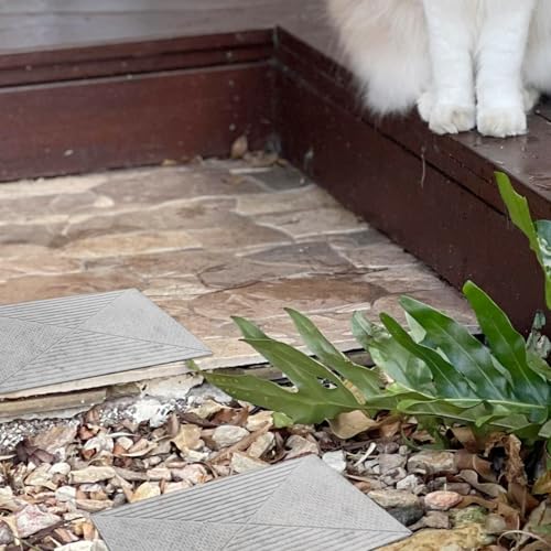 Moule pavé béton rectangulaire pour coffrage de pavage extérieur de cour