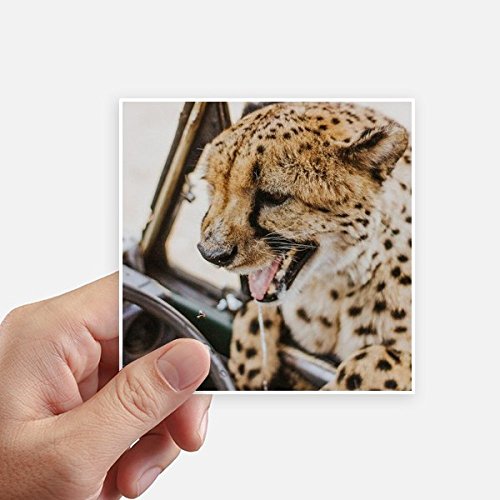 Autocollant carré léopard 10CM DIYthinker pour mur et valise x8 - 2
