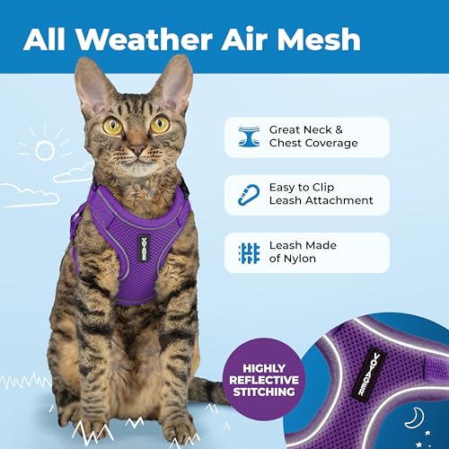 Image of Voyager Escape-Proof Step-in Lock Cat Harness & 5ft Neoprene-Handle Leash Set All-Weather Mesh with Reflective Stitching for Small to Large Cats by Best Pet Supplies, Purple (327), S