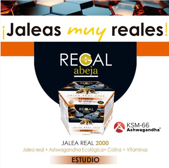 Jalea Real 2000 Estudio. 20 Viales | Suplemento con Jalea Real, Ashwagandha y Colina | Mejora Memoria y Concentración | Reduce Cansancio Mental | Ideal para Estudiantes y Opositores