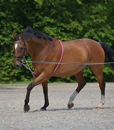 Aide pour avancer en coton doux bicolore ajustement idéal poney et COB