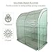 CO-Z Lean to Greenhouse Walk in, Portable Mini Green House with PE Cover, Waterproof Hot House UV Protected Walking Plant Green House, 3.3 x 6.6 x 7.0 Feet.