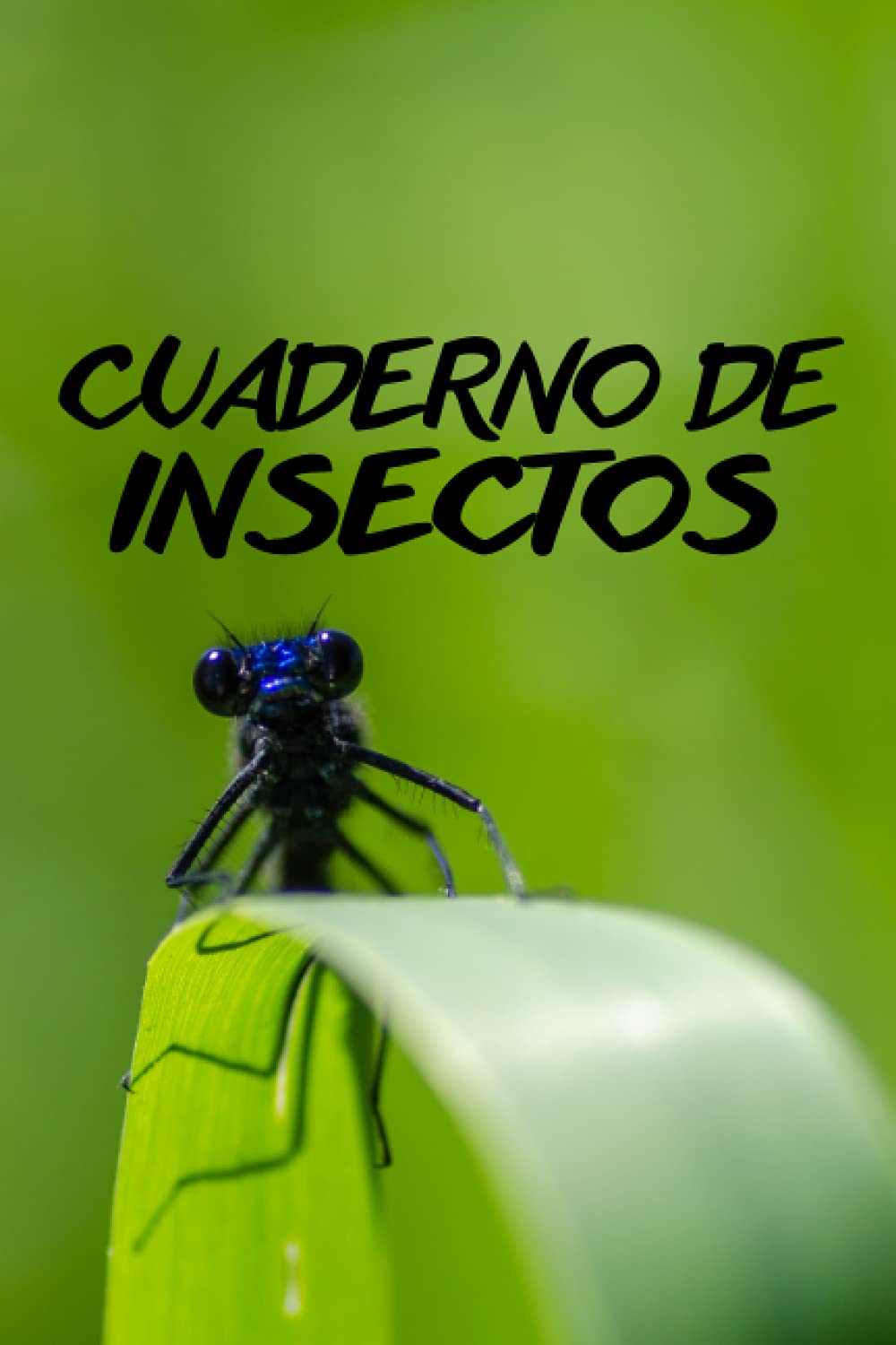 Buy Cuaderno de Insectos: Un libro de registro de identificación para