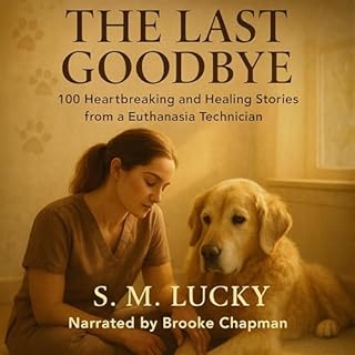 The Last Goodbye cover art
