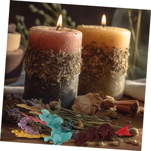 2 cajas de flores secas surtidas para manualidades DIY miniatura 7