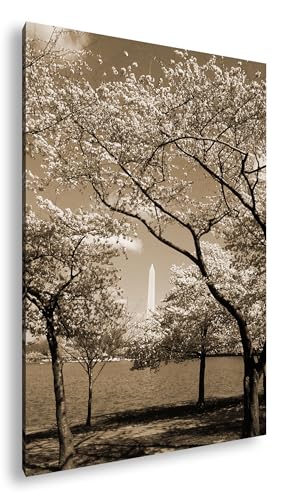 Voyage poétique avec les cerisiers du Washington Monument deyoli