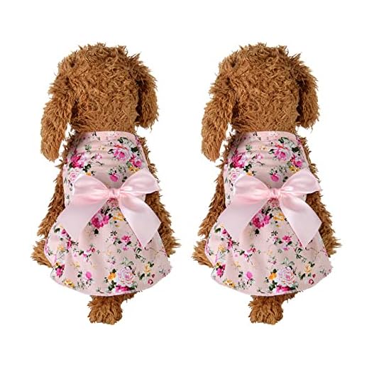 2 Unids Vestido De Perro Lindo Perrito Perro Bowknot Vestidos Eeelgant Princesa Vestido De Perrito Floral Perro Ropa Vestidos De Perro Falda Transpirable Niña Vestido De Perrito Vestido De
