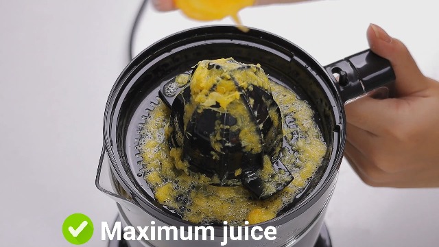 Amazon.com: LEBENLANG Black Citrus Juicer (LBL3386S-US - 40W
