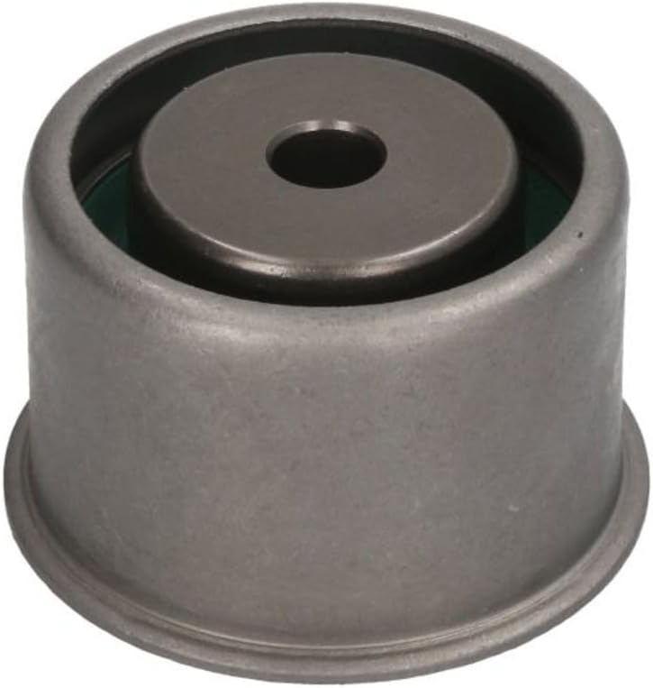 SNR ge373,13 Investment/Guide Pulley, timing belt
