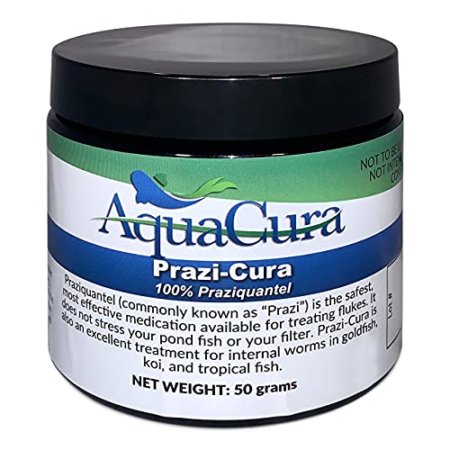 PRAZI-CURA PRAZIQUANTEL - 50 Gram Fish Treatment – Ultra-Efficient Fish Treatment Powder for Gold, Koi & Tropical Fish…