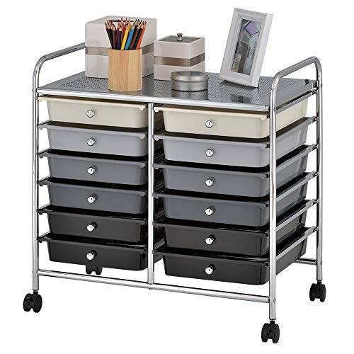 ECR4Kids 12-Drawer Rolling Storage Cart, Mobile Organizer with Locking Casters, Makeup Organizer and Storage, Toy Organizer and Storage, Home and School Supplies - Grey Color