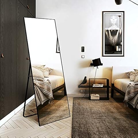 TinyTimes 65" Full Length Mirror Cover