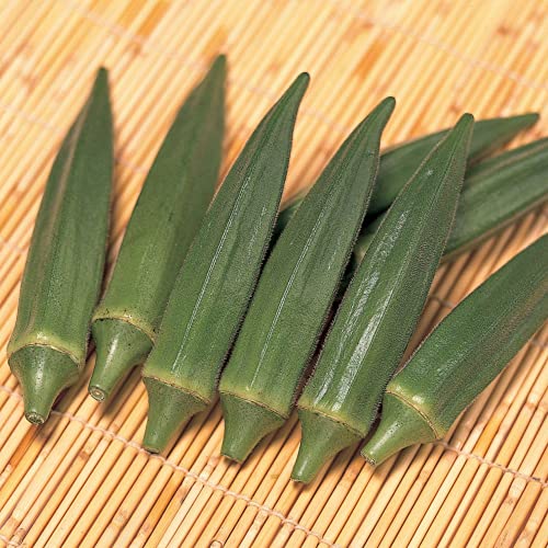Jambalaya Okra Seeds - 1 Oz ~500 Seeds - Heirloom,