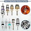 Saipor 134pcs Car Air Conditioner Valve Core Kit, R12 R134a Automotive A/C Schrader Valves Cores Accessories, Refrigeration Tire Valve Stem Cores Repair Kit with Double Head Dual Valve Remover Tool #5