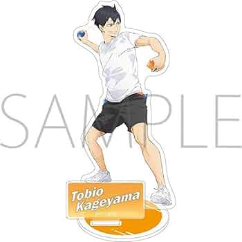 ハイキュー 水遊び 影山飛雄 10個 ハイキュー!! 日向や影山らが「水遊び」をする描き下ろしグッズ