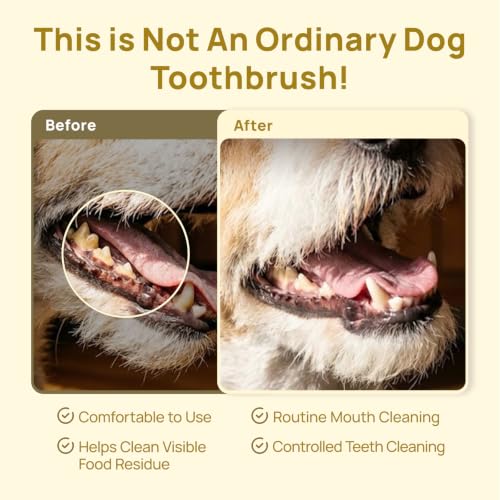 Image of HICC PET Single-Head Toothbrush for Cats & Small Dogs, Easy Teeth Cleaning | Compact Triple-Bristle Head and 16 Ergonomic Handle Make Daily Teeth Cleaning Easier for Cats and Small Dogs After Meals.