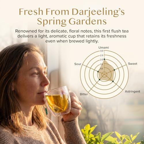 Image of VAHDAM, Exotic Darjeeling First Flush Tea Leaves (100 Black Tea Bags) High Caffeine, Non GMO, Gluten Free | Aromatic & Robust | Unblended First Flush Darjeeling Tea Bags | Resealable Ziplock Pouch