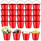 24 Pcs Metal Bucket 5 x 3.5 x 4.7 Inch Mini Party Buckets for Flower Pot Plant Basket Iron Small Metallic Pails with Handle for Toy Container Candy Snack Crafts Vase Party Favors (Red)