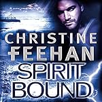 Cover of Spirit Bound