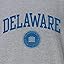 Delaware Fightin' Blue Hens - Charcoal Grey